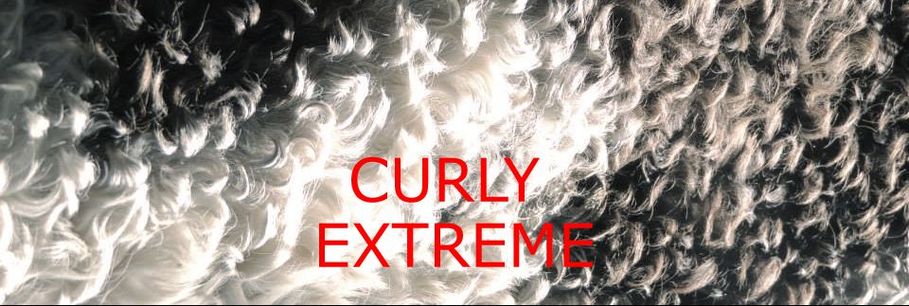 Curly Extrême